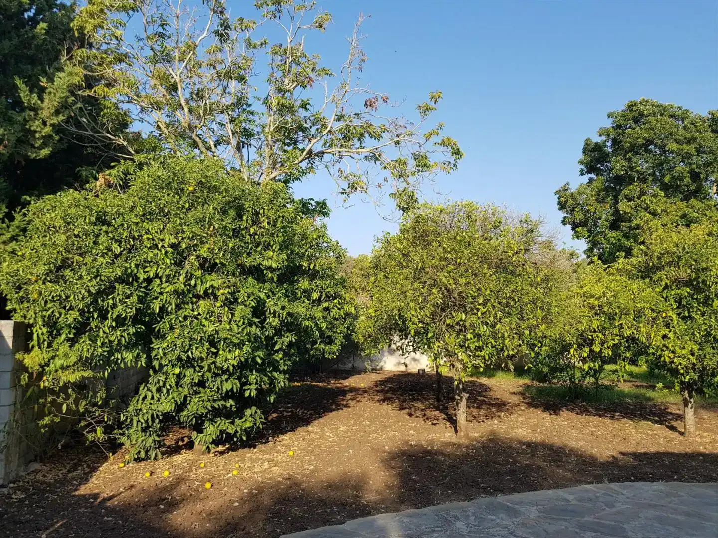 Houses for sale in Barbate  with Air Conditioner, Swimming Pool and Balcony