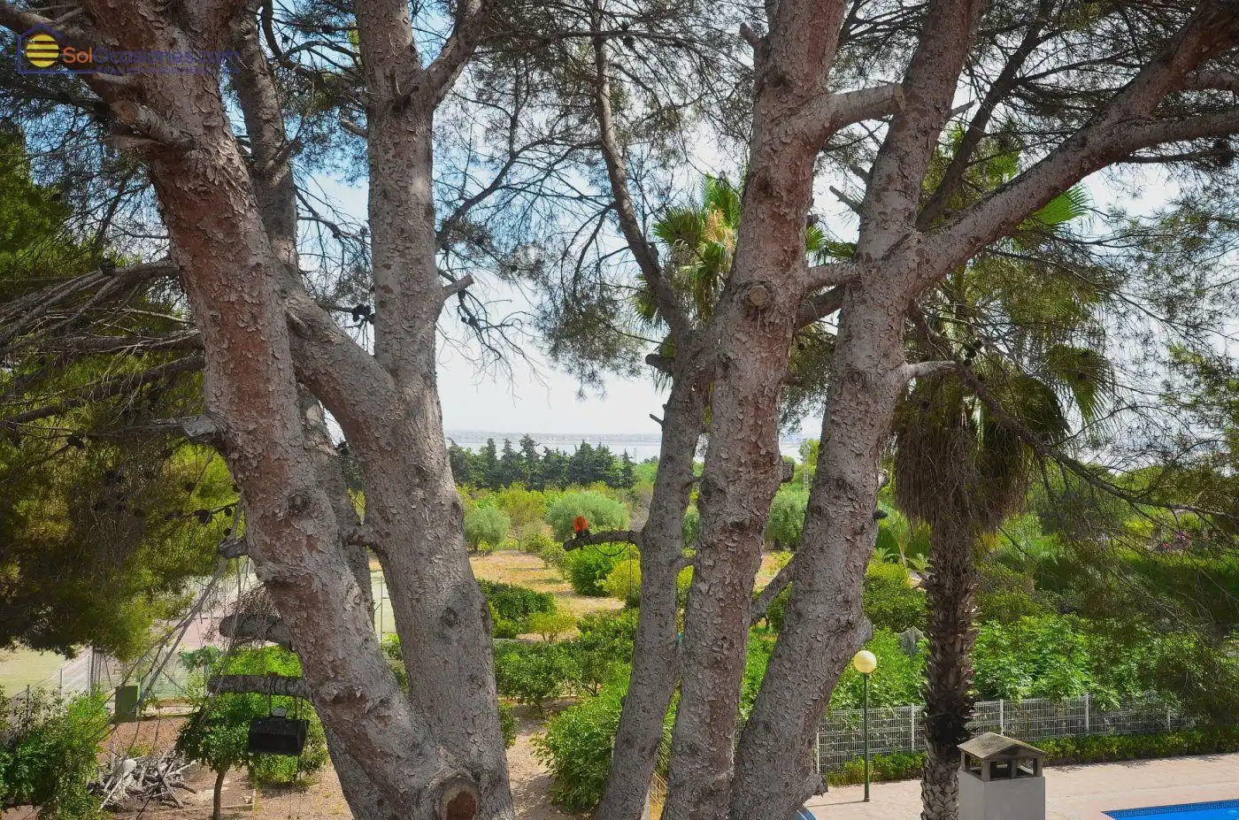Villa avec piscine à vendre à Calle DISEMINADOS 81, imagen 10