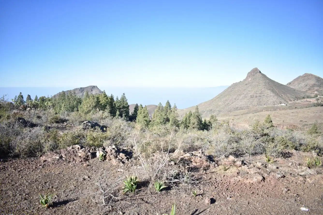 Terrenos y solares en venta en Vilaflor de Chasna, imagen 7