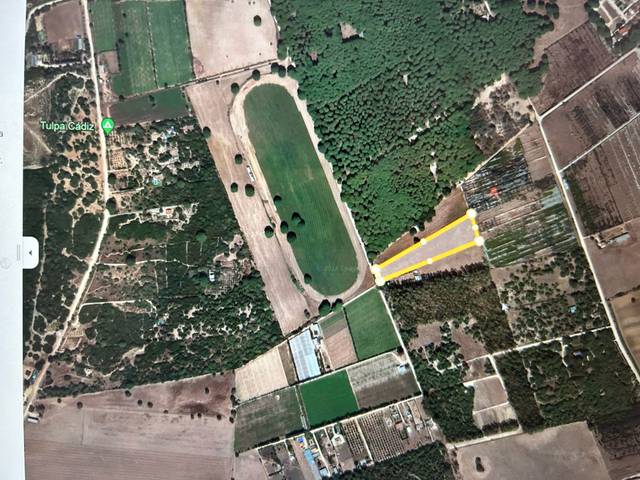 Terreno en Venta en Benalup-Casas Viejas