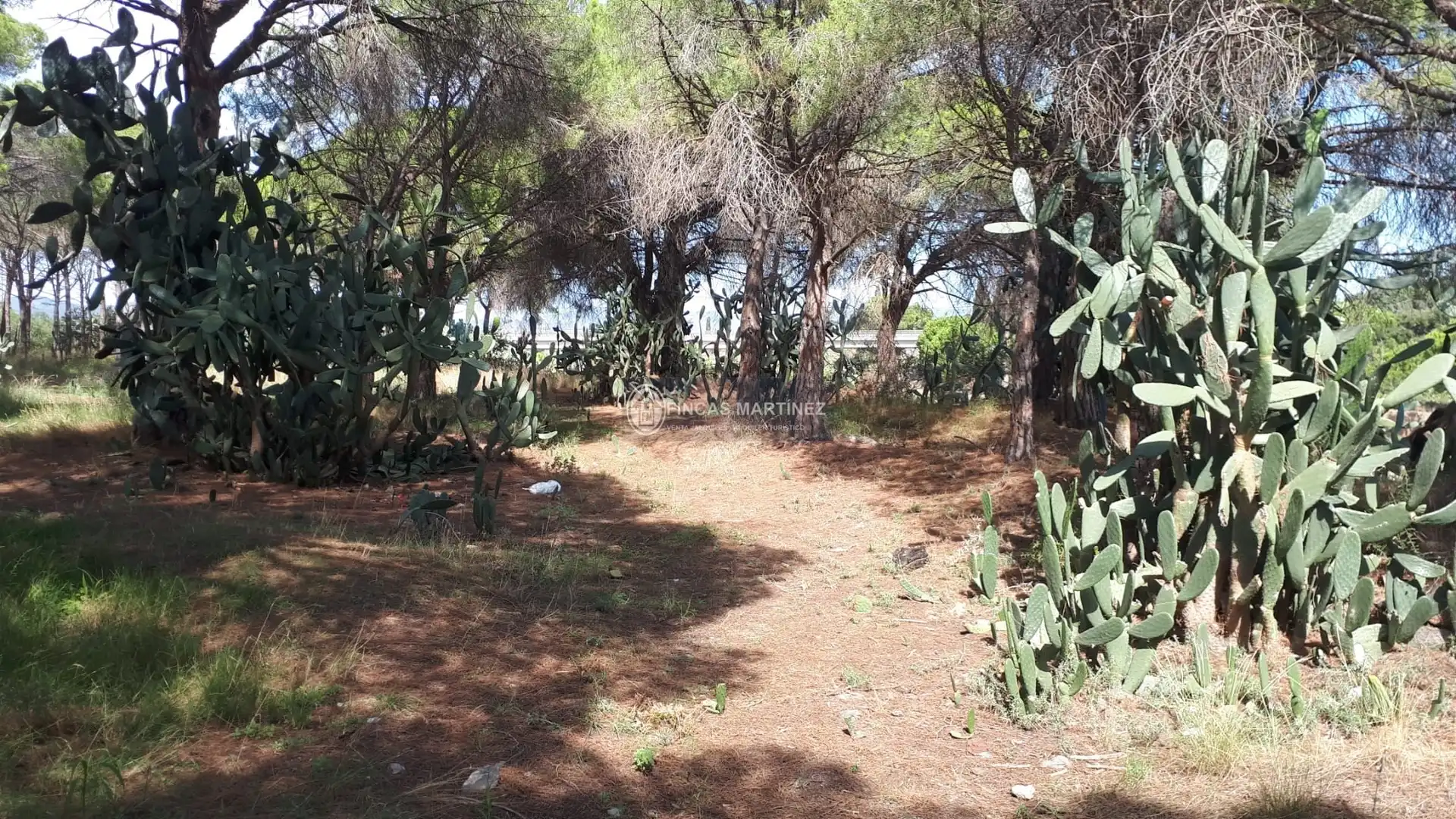 Terrenys i solars en venda a partida guardamá o Emprius  riera de Alforja con carretera del parque samá, imagen 9