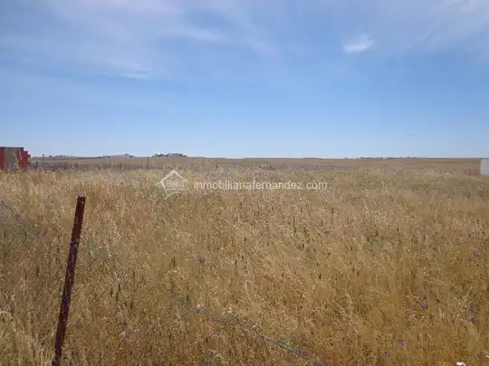 Terreni e lotti in vendita a Valdesalor - Rincón de Ballesteros