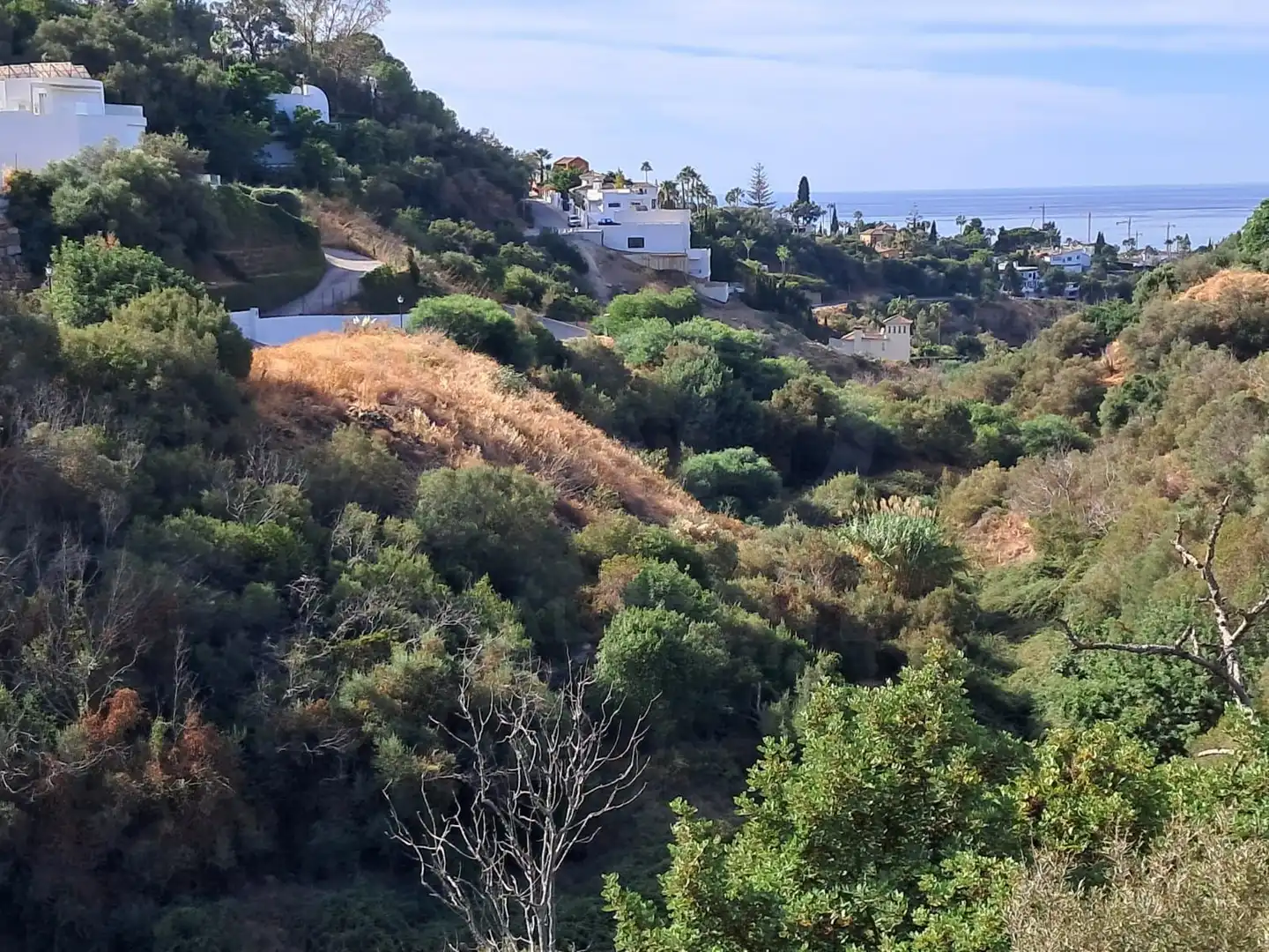 Terreny residencial en venda a Las Chapas - El Rosario, imagen 4