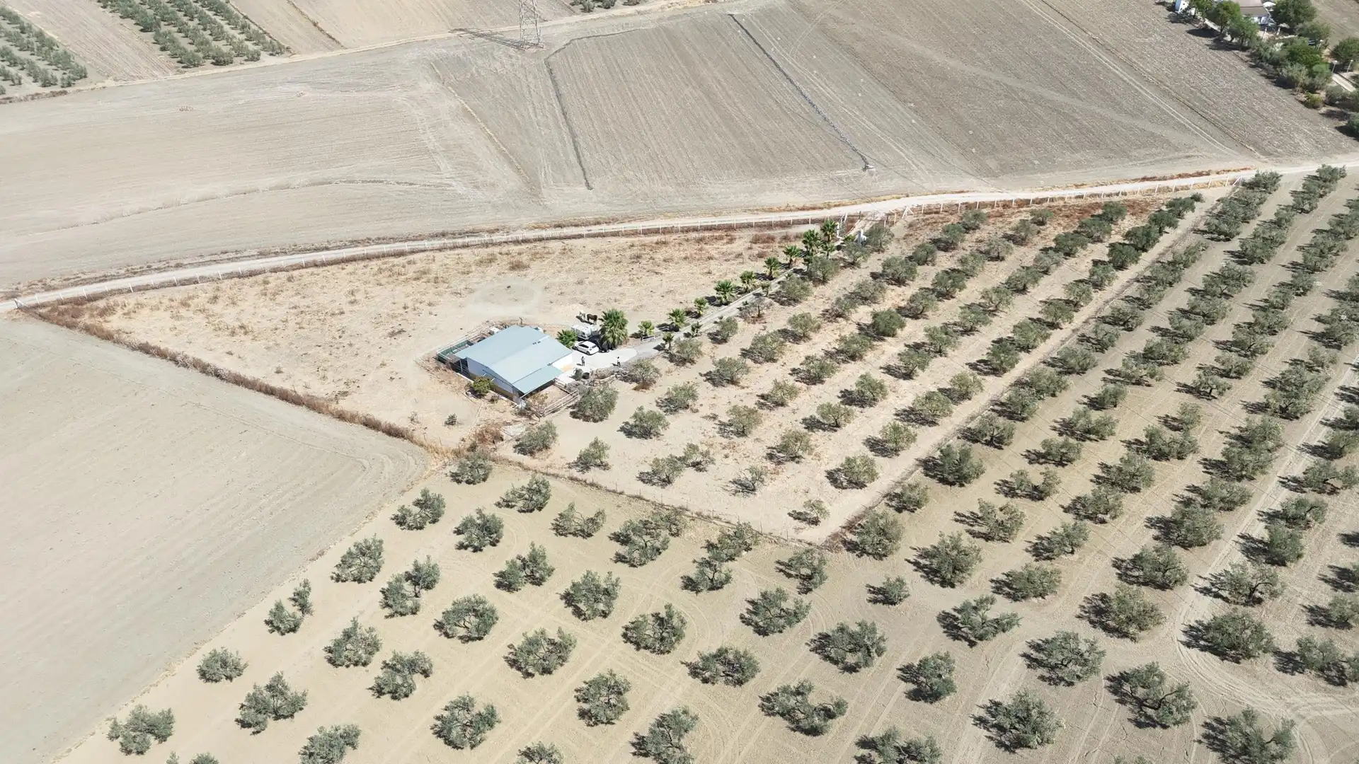 Rural land for sale in Polígono 12 Parcela 177 LA CORIANA. OLIVARES (SEV, imagen 9