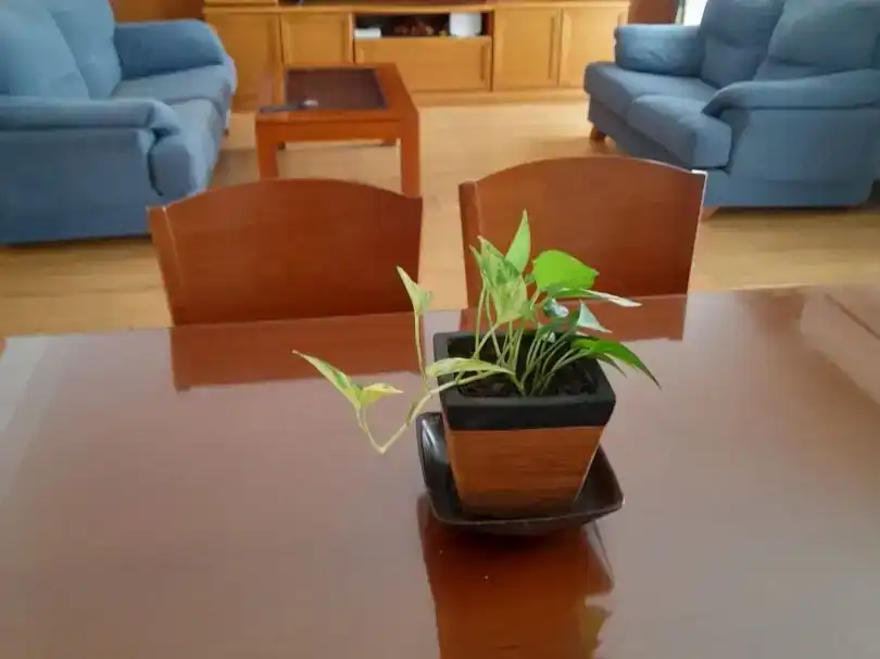 Sala d'estar de Pis en venda en Valdemoro amb Aire condicionat i Piscina