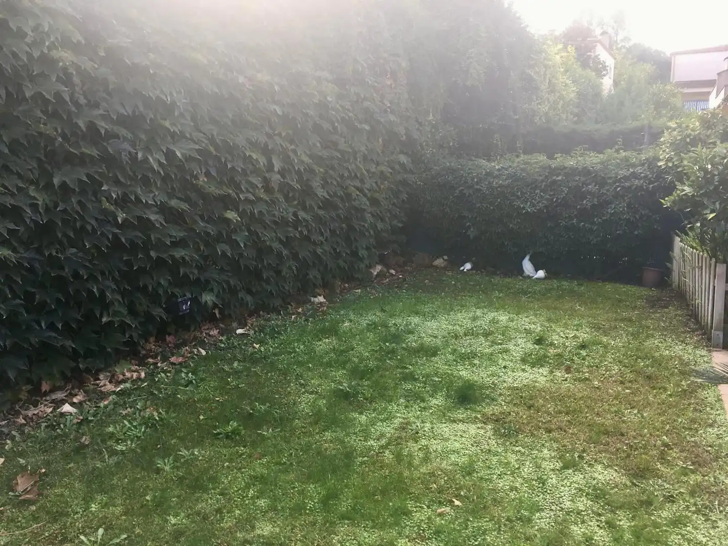 Doppelhaushälfte mit Garten zum Verkauf in Palau, imagen 8
