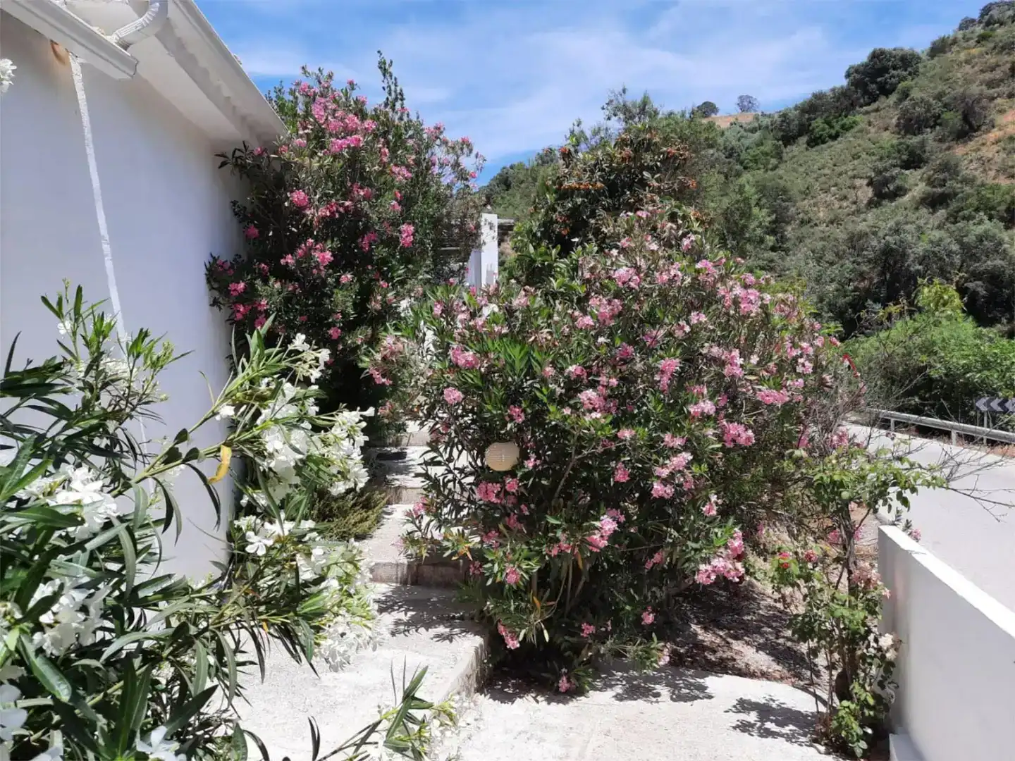 Jardí de Finca rústica en venda en Iznájar amb Aire condicionat, Piscina i Balcó