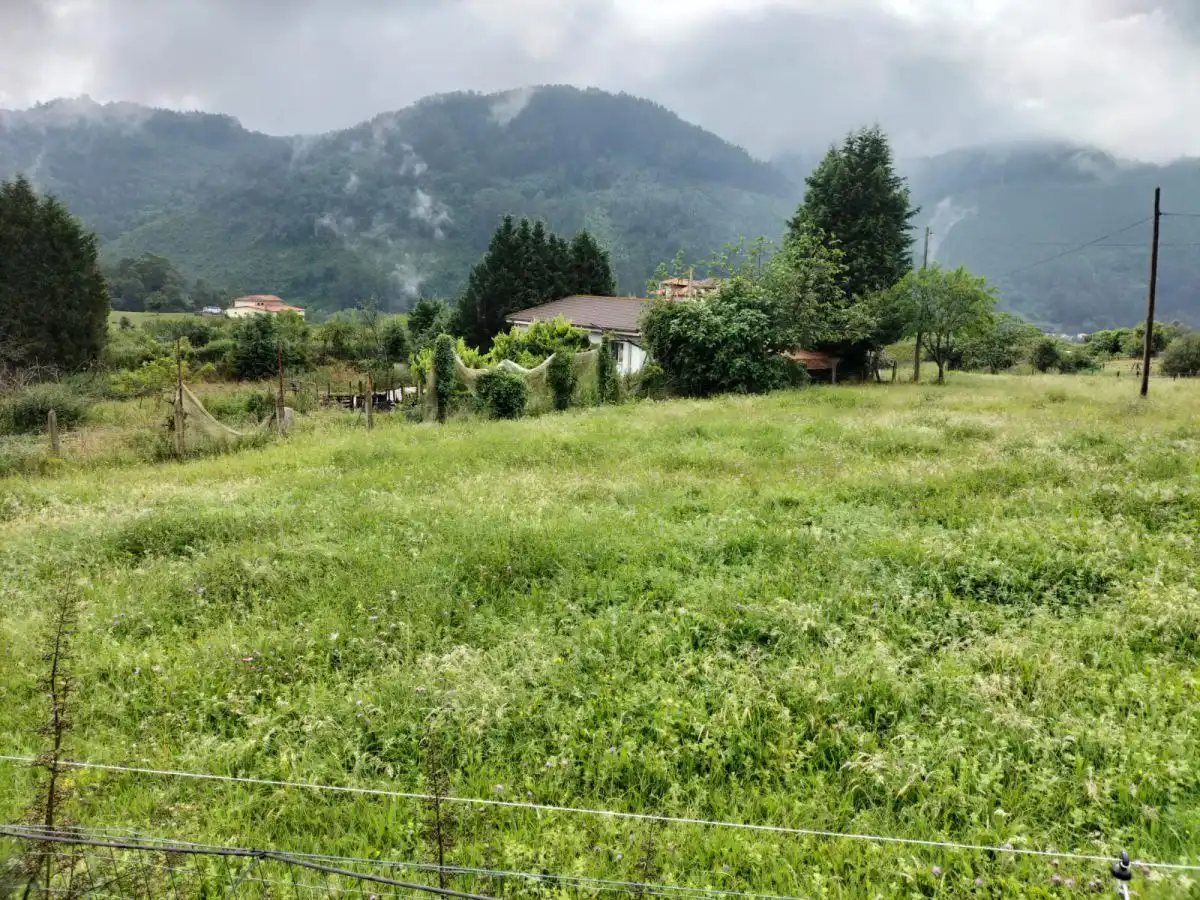 Residential land for sale in Grado, imagen 2