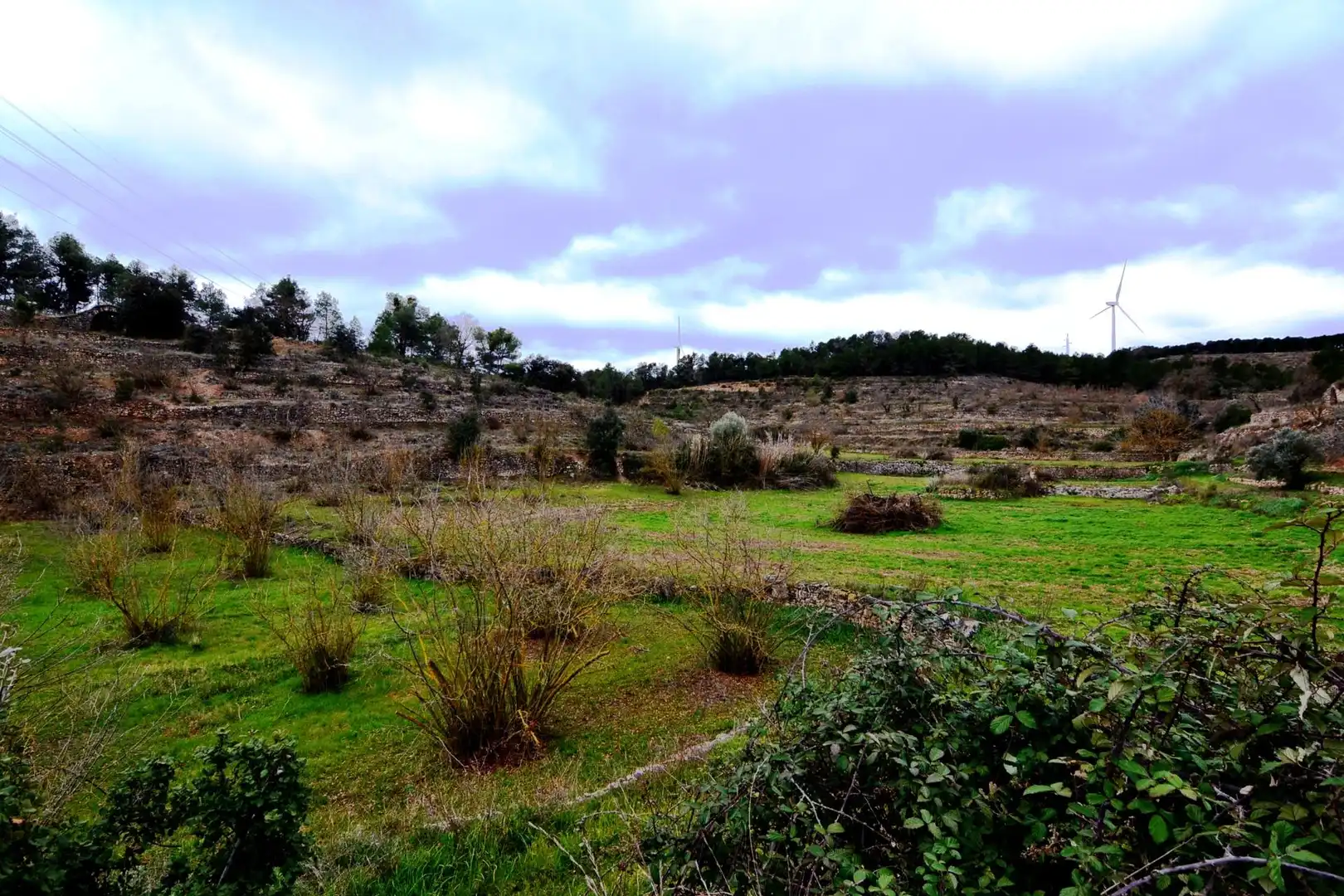 Terreno en venta en Vilalba dels Arcs