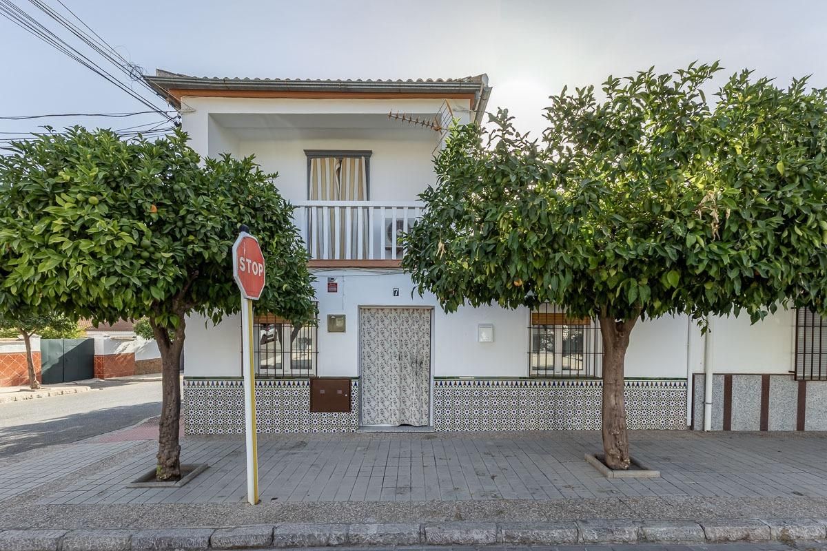 Exterior view of House or chalet for sale in Láchar