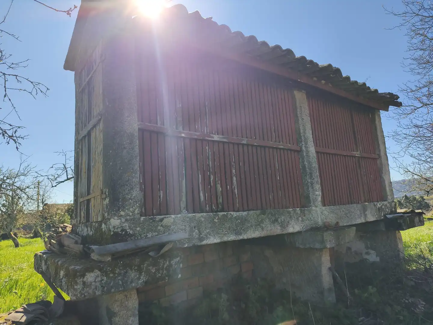 Vista exterior de Casa o xalet en venda en Piñor