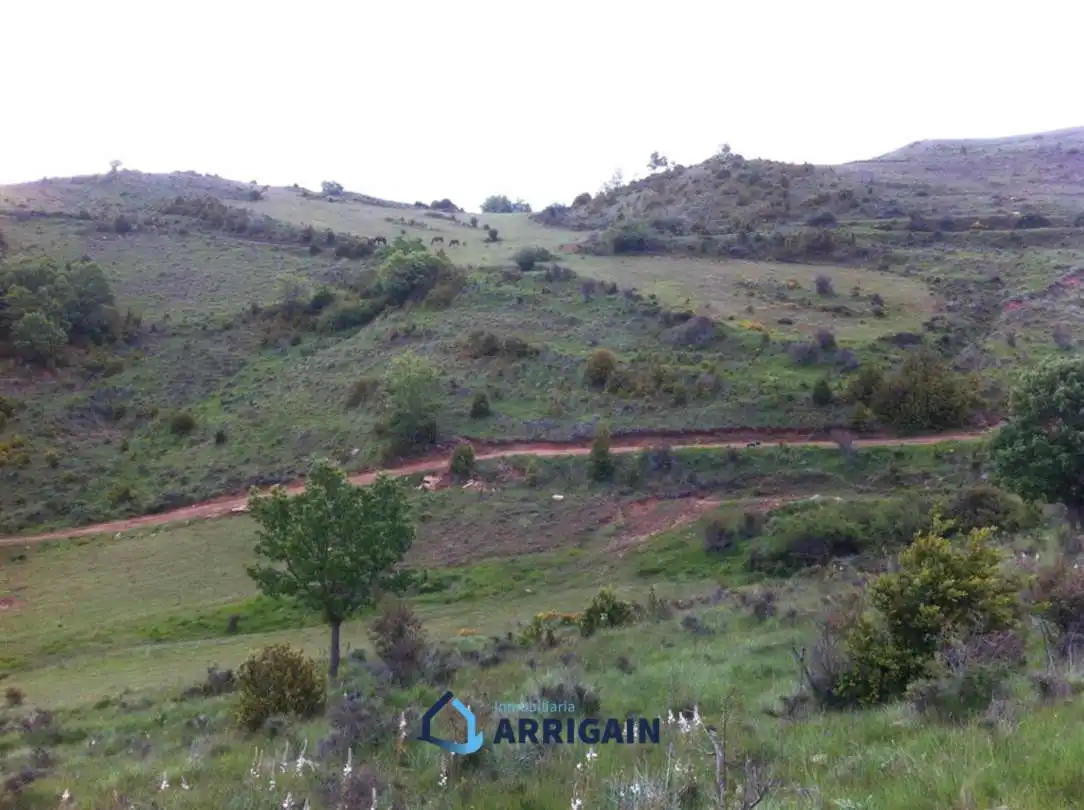 Casa o chalet en venta en La Moraleja con Jardín privado