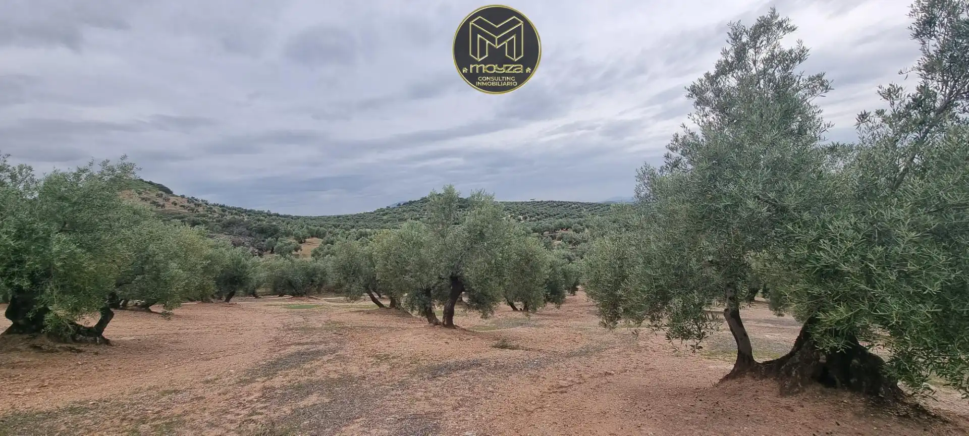 Terreni e lotti in vendita a Torredonjimeno, imagen 5