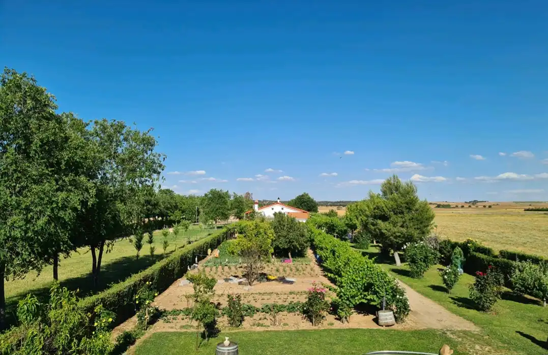 Jardí de Finca rústica en venda en Fuente El Saz de Jarama amb Aire condicionat, Calefacció i Jardí privat