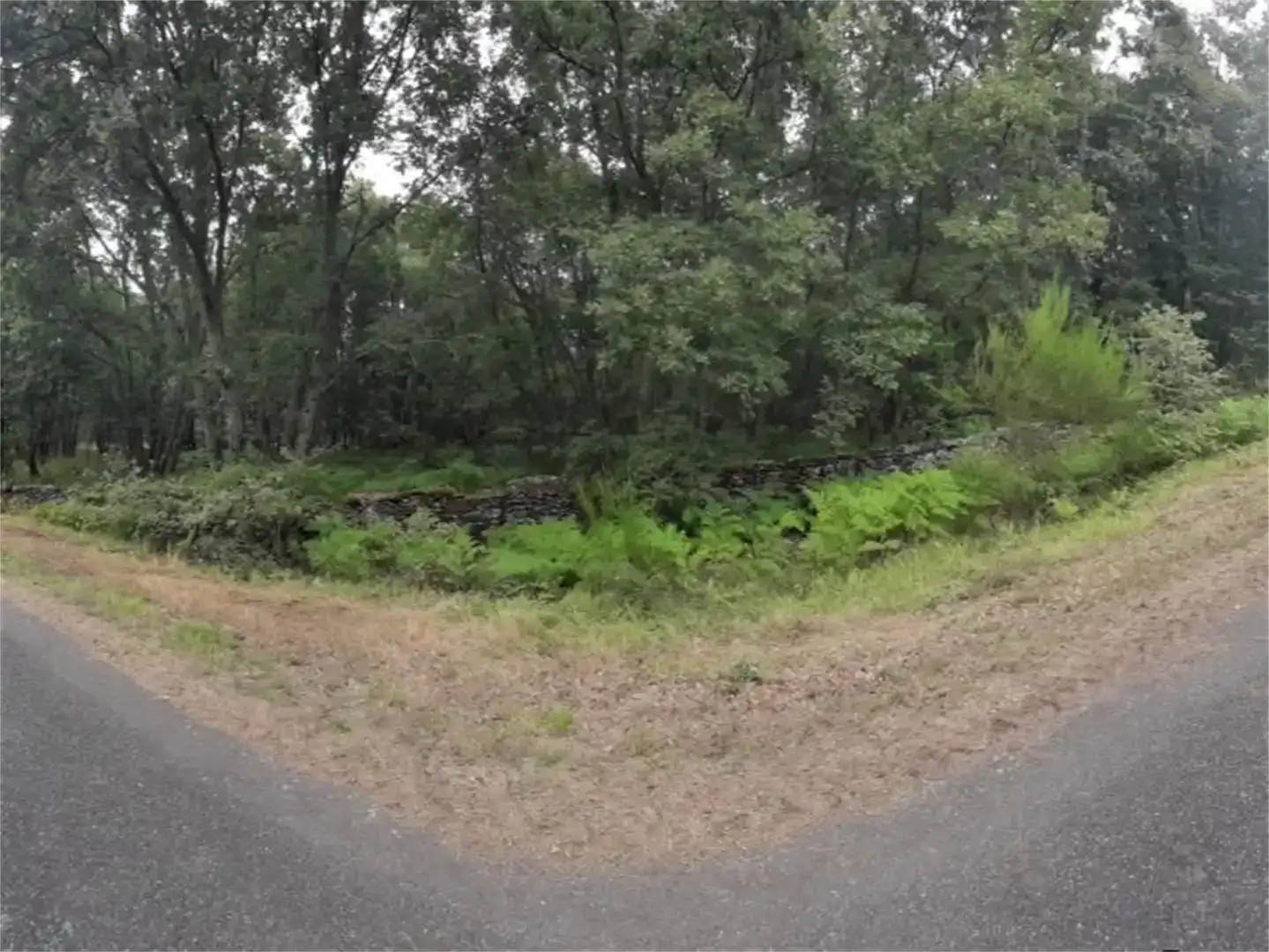 Land for sale in A Bola , Ourense