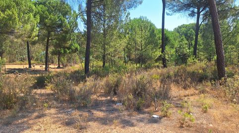 FINCA RUSTICA BEAS, immagine 5