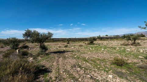 Photo 2 of Residential for sale in Calle Fuensanta, la, San Isidro - Campohermoso, Níjar