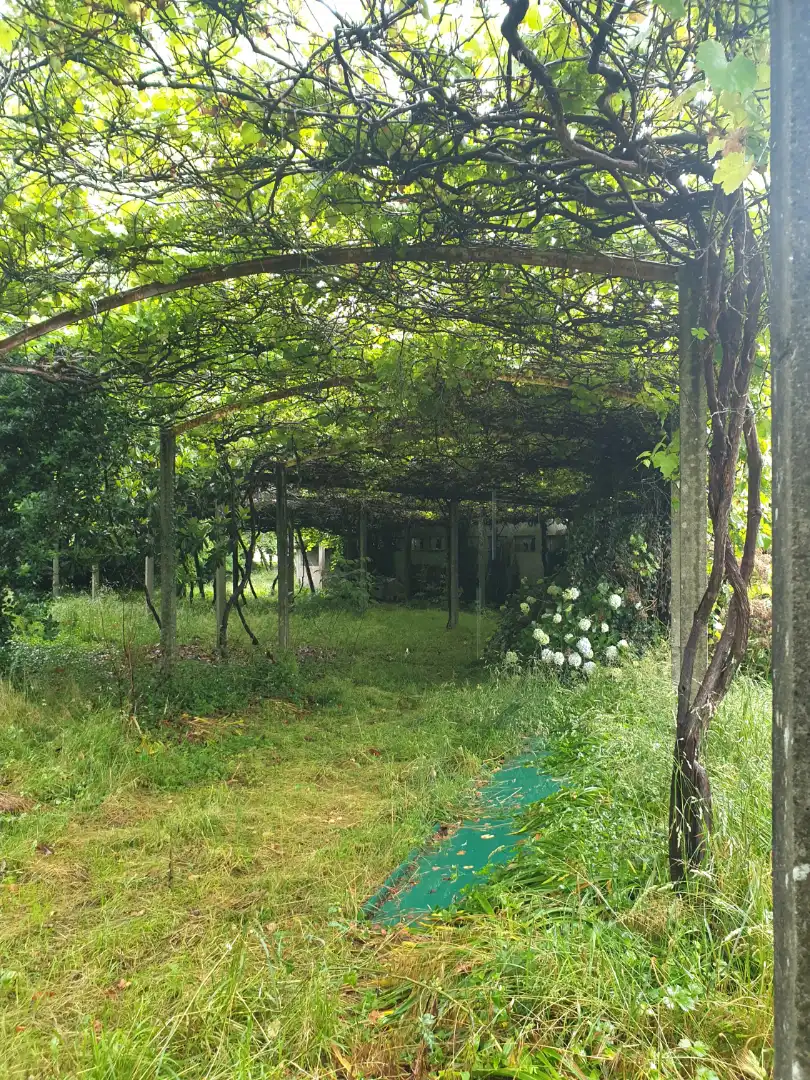 Garden of Houses for sale in Boqueixón  with Private garden, Storage room and Balcony