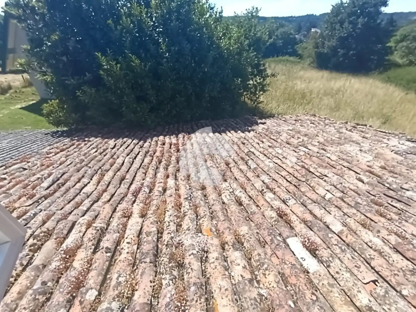 Habitatge en venda a O Pereiro de Aguiar, imagen 5