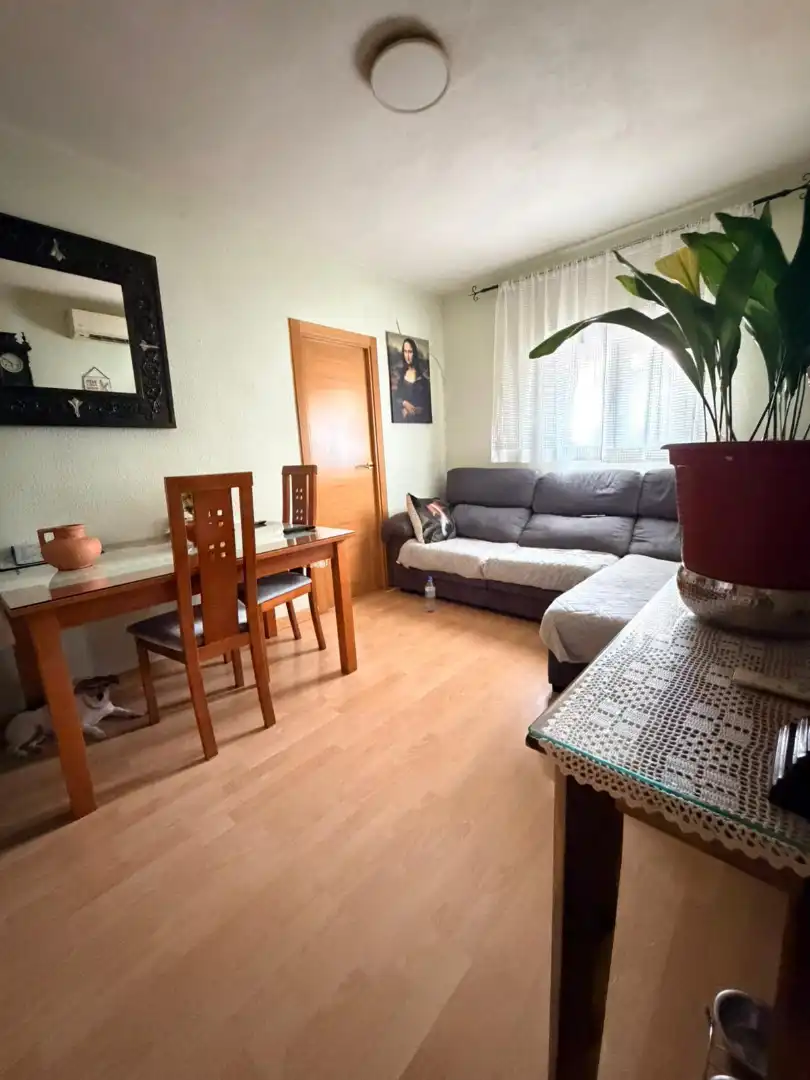 Living room of Flat for sale in Madrid  with Air Conditioner, Heating and Storage room