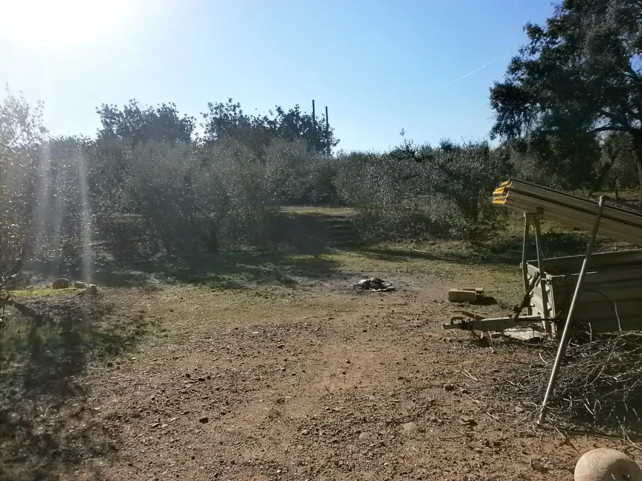Rural land for sale in Vinyols i els Arcs, imagen 24