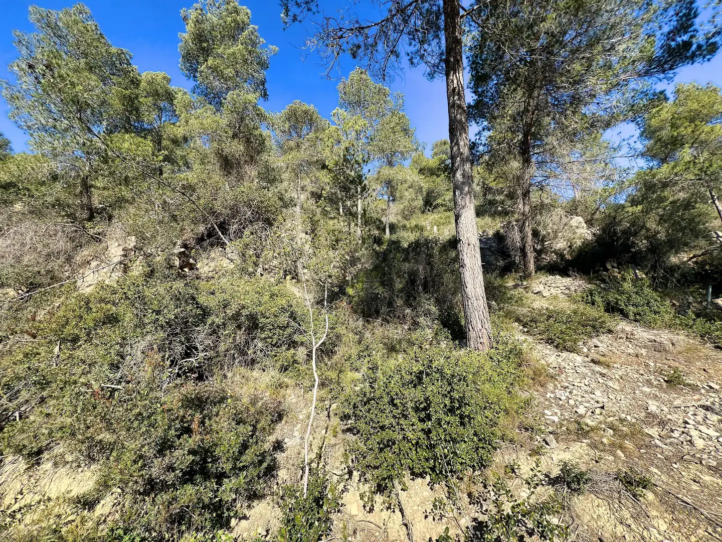 Lands and plots for sale in Vallirana, imagen 6