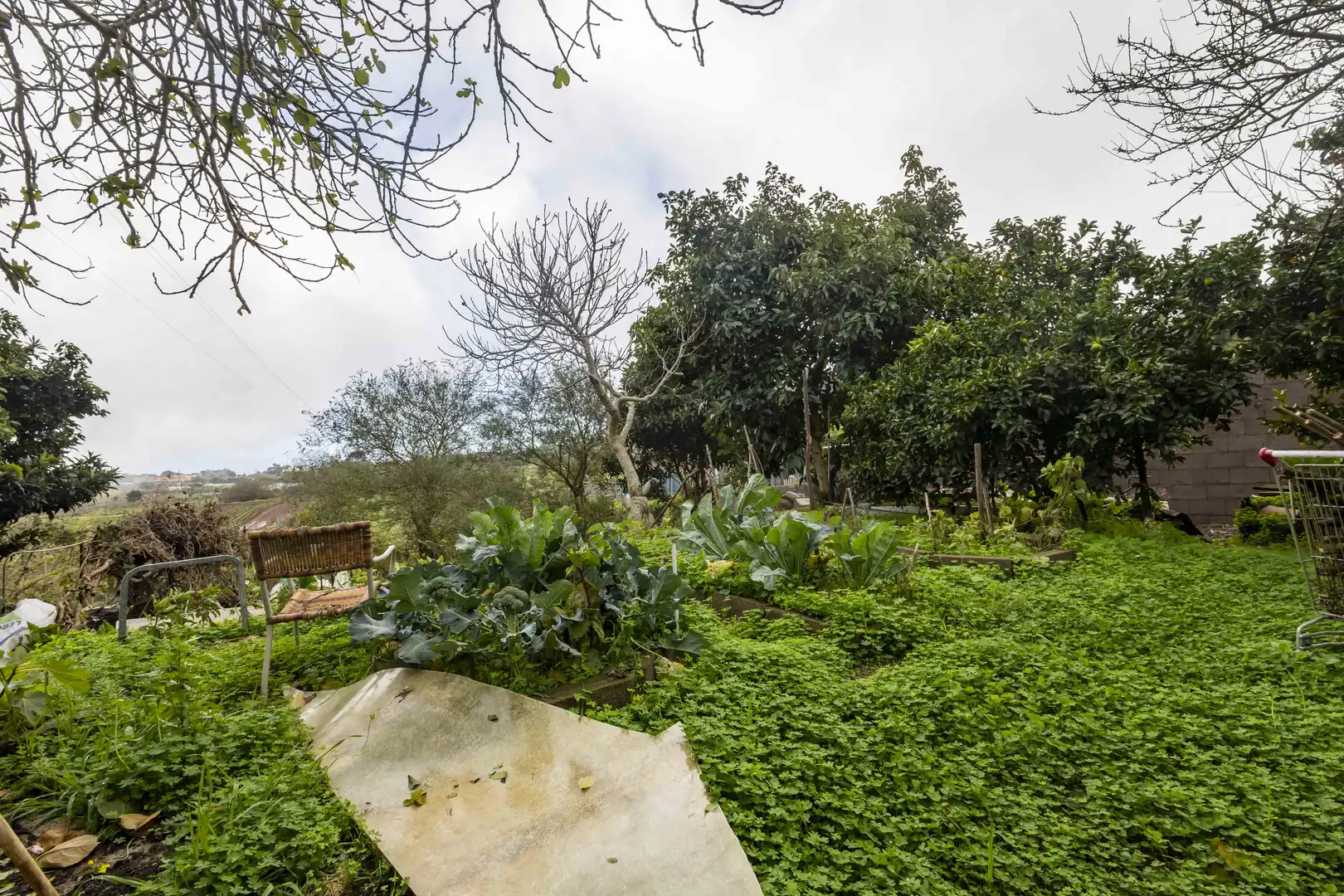 Jardín de Finca rústica en venta en San Cristóbal de la Laguna con Calefacción, Jardín privado y Terraza