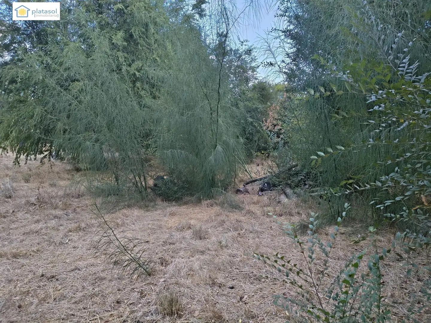 Terreno residenziale in vendita a ALCAUDON, imagen 4