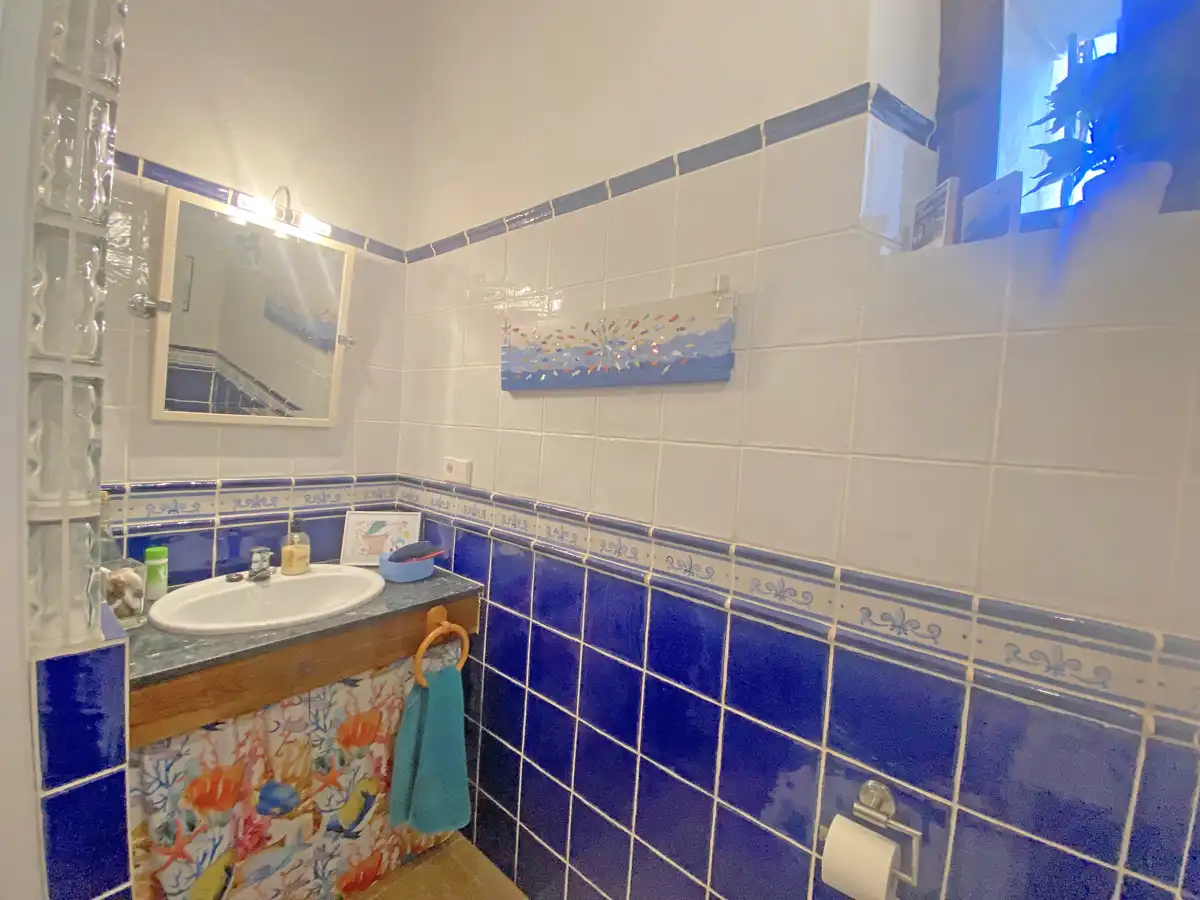 Bathroom of Detached homes for sale in Sanet y Negrals  with Air Conditioner, Heating and Terrace