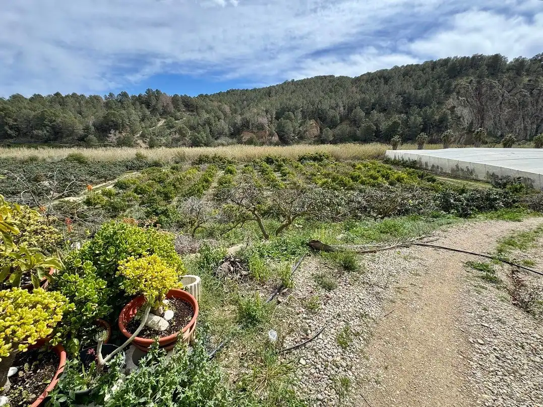 Country homes for sale in Altea la Vella