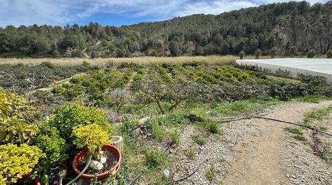 Foto 2 de Finca rústica en venda a Altea la Vella, Altea