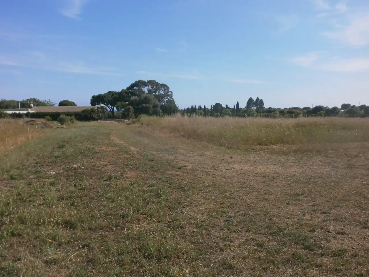 Rural land for sale in Vial Camino 1, imagen 7
