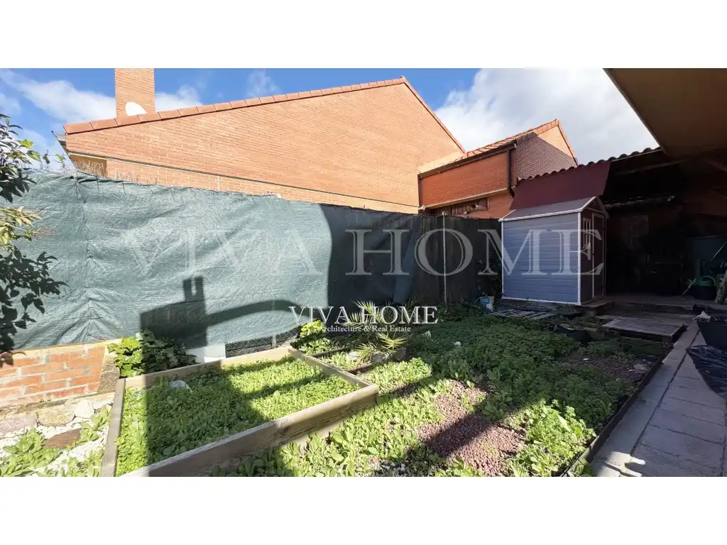 Jardín de Casa o chalet en venta en Rivas-Vaciamadrid