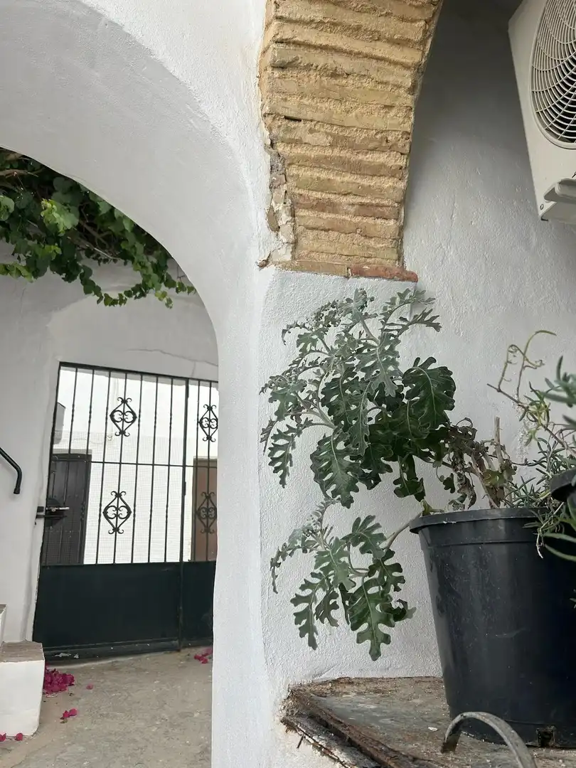 Apartament en venda a Vejer, imagen 7