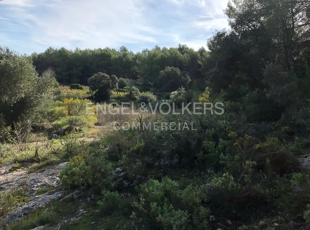 Fabrik Grundstücke zum Verkauf in Avinyonet del Penedès