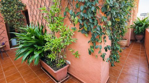 Foto 5 de Piso en venta en Zona de Punta Plata, Estepona