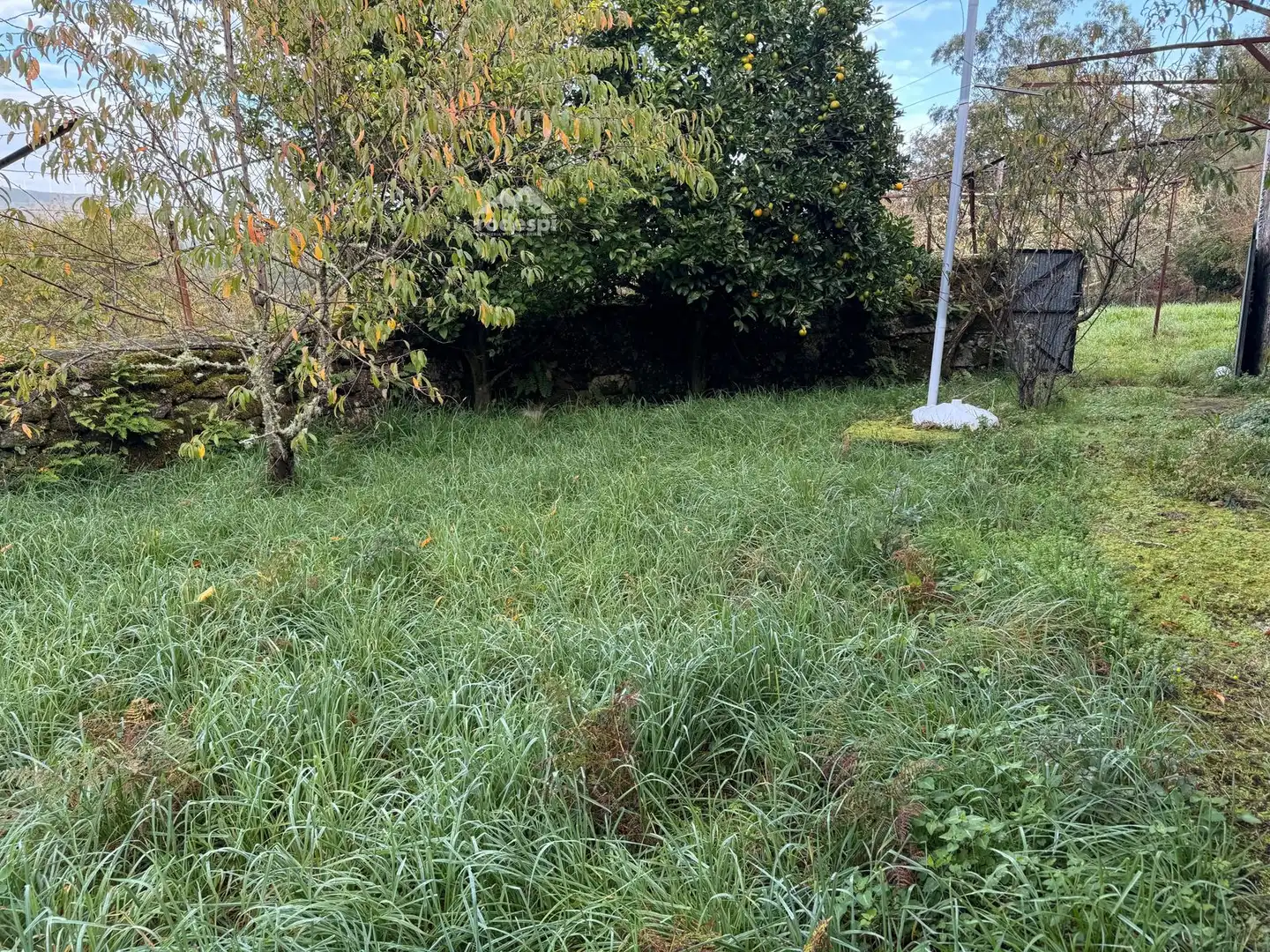 Maison à vendre à Crecente, imagen 8