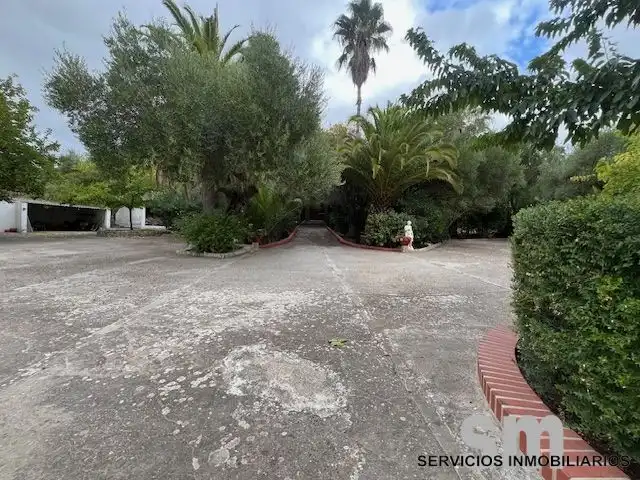 Terreno rustico in vendita a Ubrique, imagen 6
