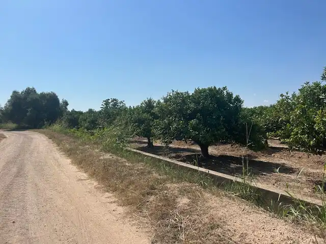 Rural land for sale in Carrer del Pou