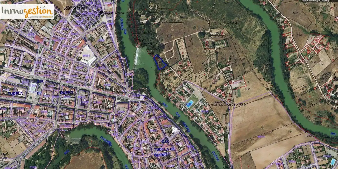 Terreno rustico in vendita a Tudela de Duero, imagen 6