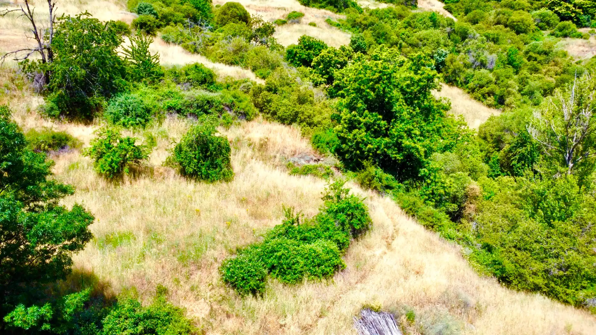 Terreni e lotti in vendita a Alpujarra de la Sierra, imagen 51