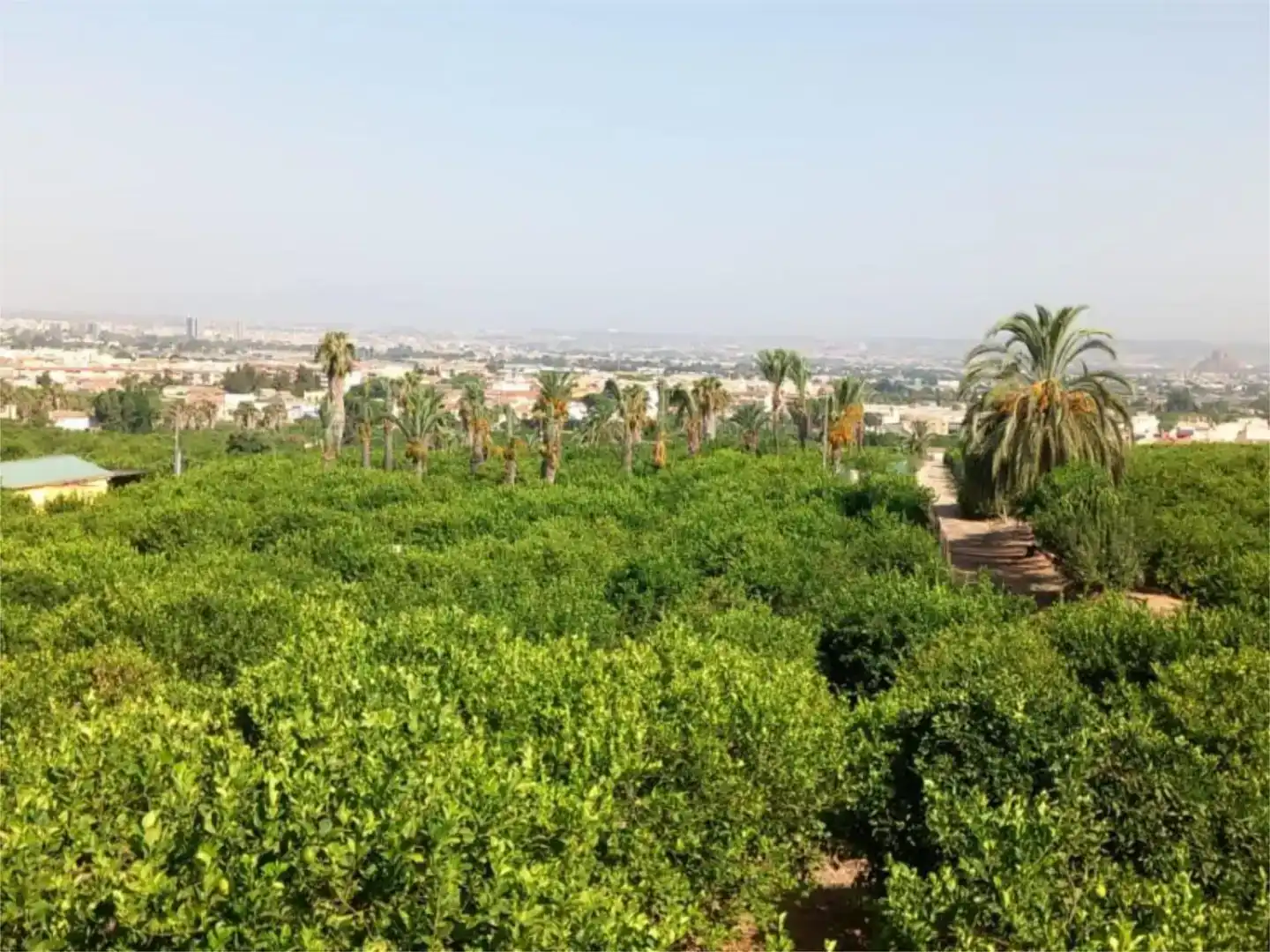 Finca rústica en venda en  Murcia Capital amb Aire condicionat