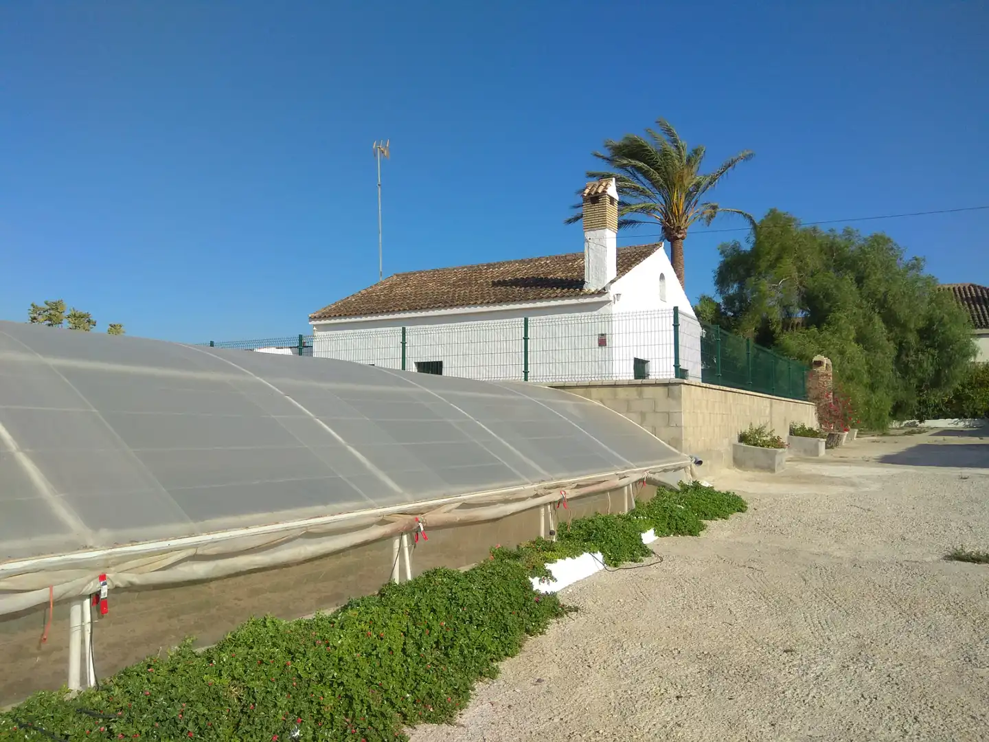 Terrenys i solars en venda a Los Franceses – La Vega