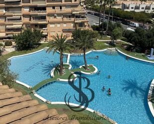 Swimming pool of Flat for sale in El Campello  with Terrace