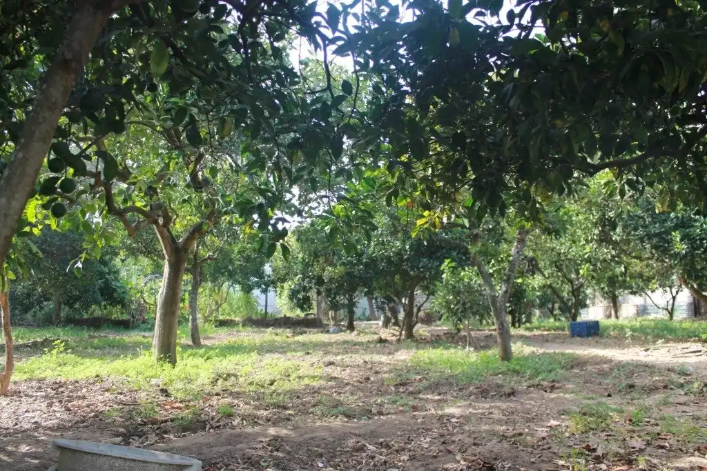 Casa o xalet en venda en San Martín del Tesorillo amb Calefacció, Jardí privat i Terrassa
