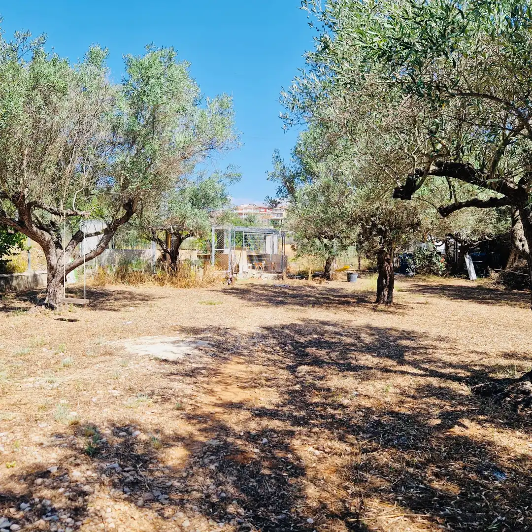 Villa avec jardin à vendre à Parcent, imagen 10