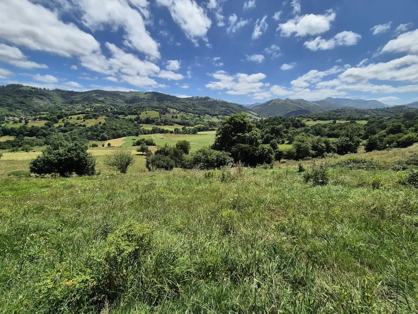 Residential land for sale in Grado, imagen 7