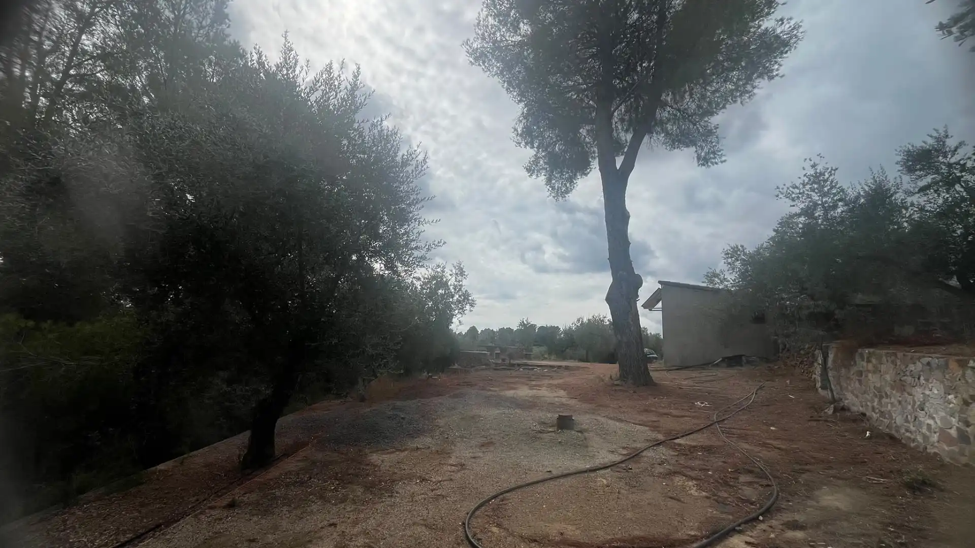Terreno rustico in vendita a Carrer de Sant Abdó i Sant Senén, imagen 40
