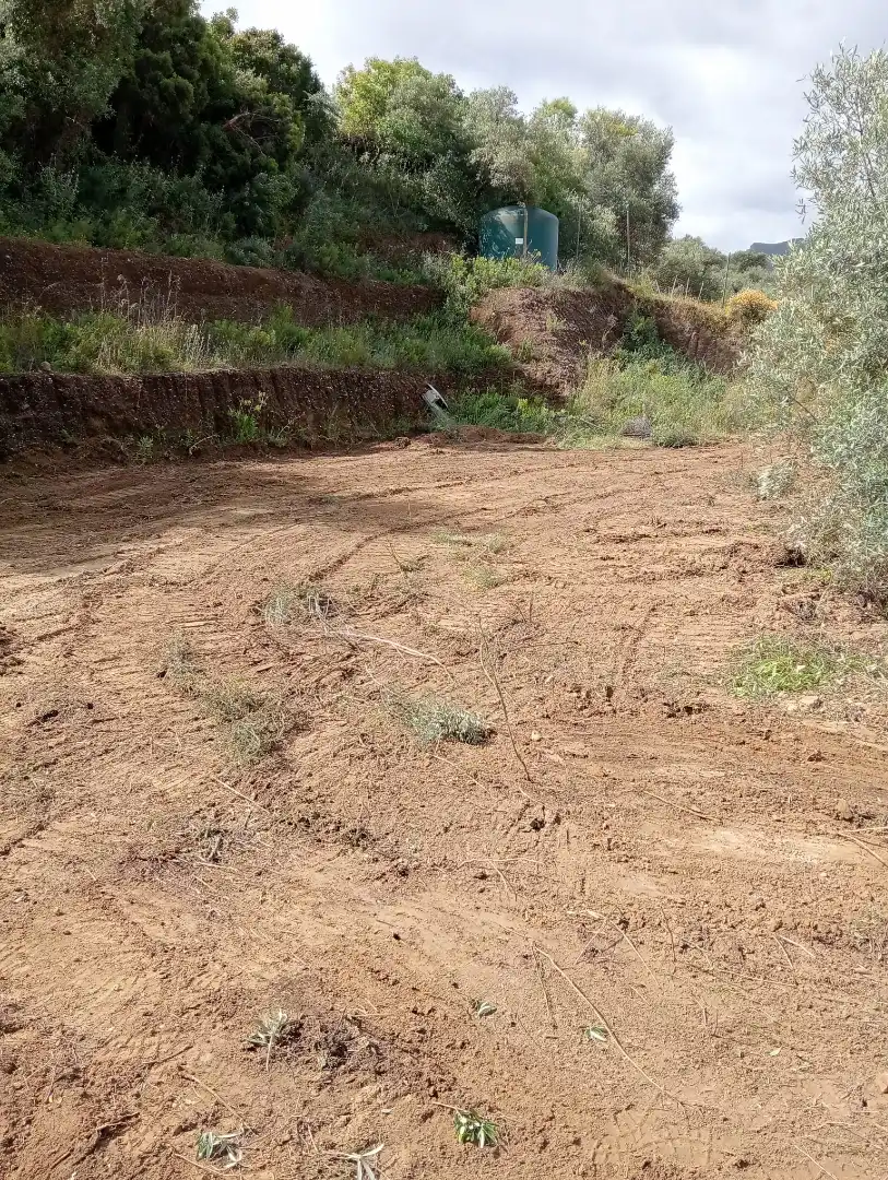 Terreno rustico in vendita a Monda, imagen 7