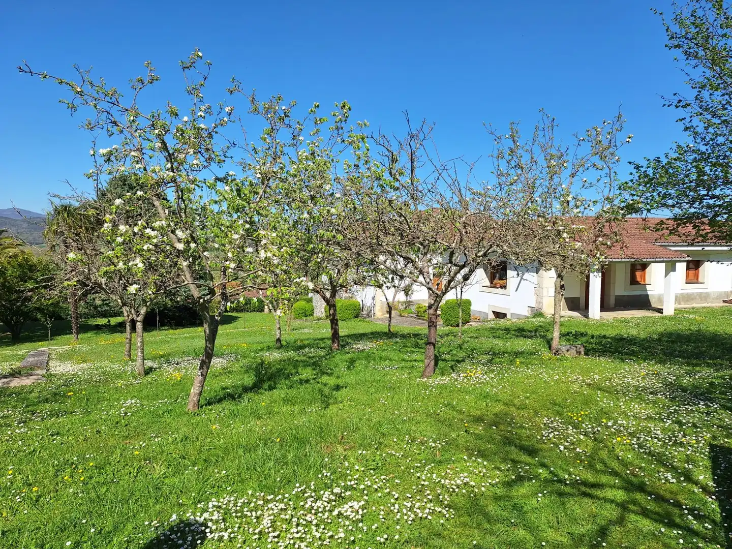 Casa o chalet en venta en Santa María, 6, Valle de Mena